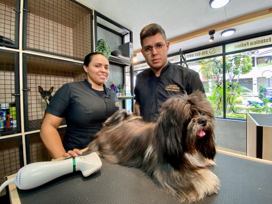 Peine Electrico Antipulgas Cepillo Quita Pulgas Para Mascotas Flea Doctor   El Baratillo